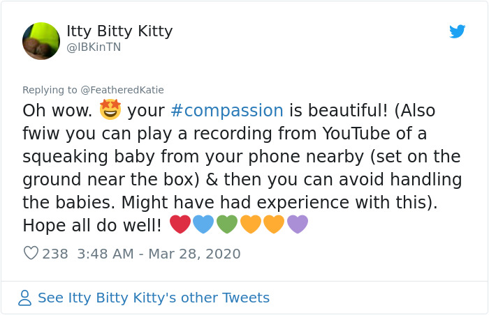 Neighbor Says Their Car Won't Start, Woman Finds A Squirrel She Tried To Fatten Up Has Had Babies Inside The Car Neighbor Says Their Car Won't Start, Woman Finds A Squirrel She Tried To Fatten Up Has Had Babies Inside The Car