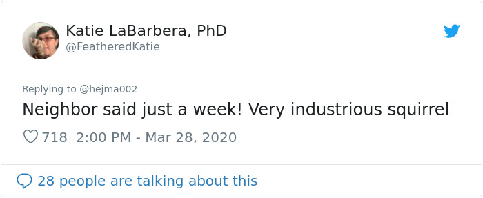 Neighbor Says Their Car Won't Start, Woman Finds A Squirrel She Tried To Fatten Up Has Had Babies Inside The Car Neighbor Says Their Car Won't Start, Woman Finds A Squirrel She Tried To Fatten Up Has Had Babies Inside The Car