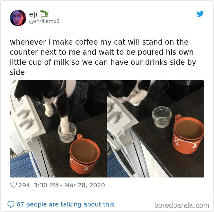 Coronavirus-Quarantine-Covid-19-Jokes