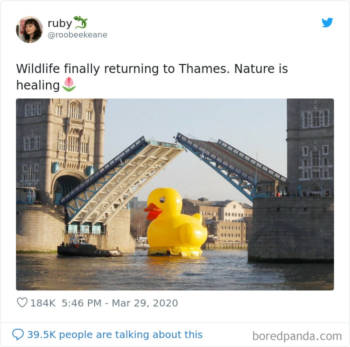 Funny-British-Quarantine-Tweets