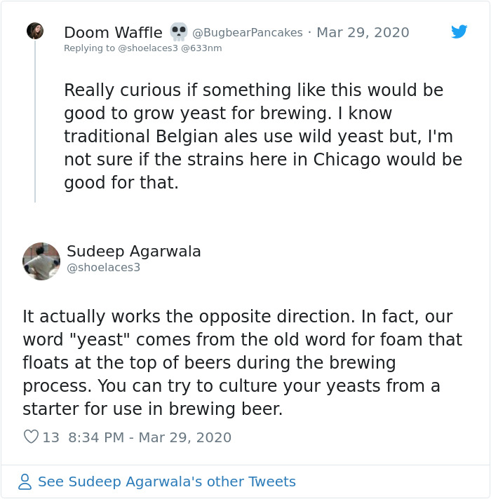 Biologist Is Surprised To See Yeast Being Hoarded, Decides To Teach People How To Make It At Home