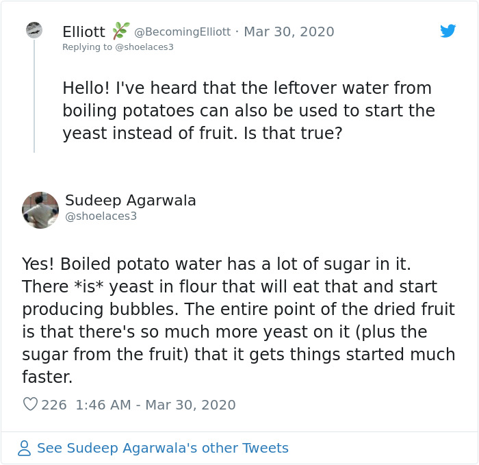 Biologist Is Surprised To See Yeast Being Hoarded, Decides To Teach People How To Make It At Home