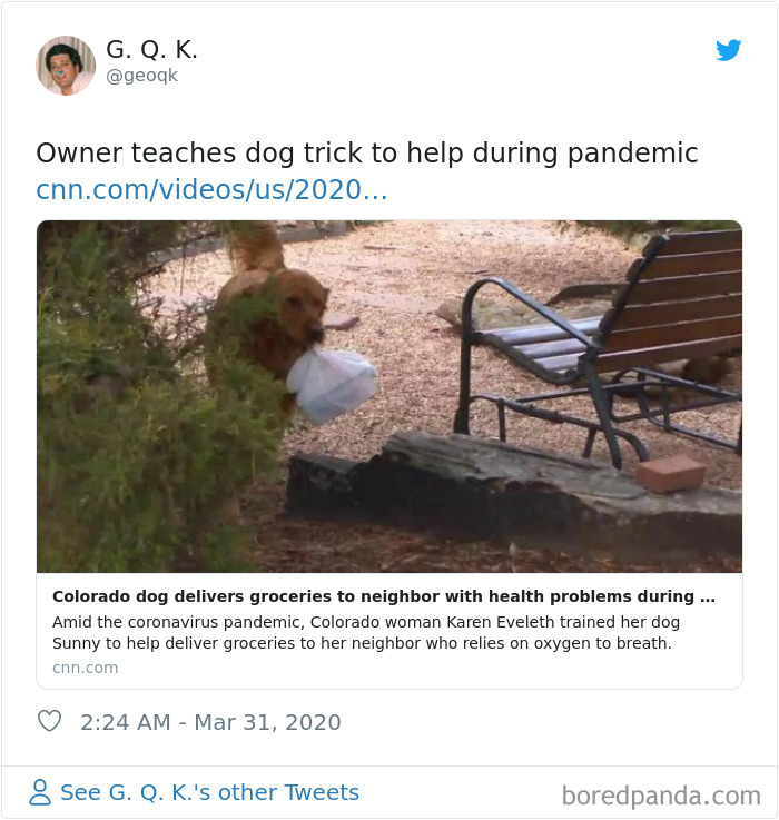 Coronavirus-Wholesome-Quarantine-Good-News