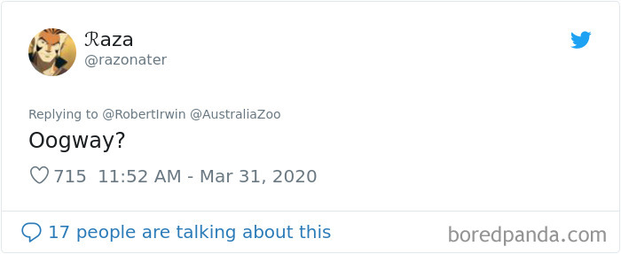 Robert Irwin Shares Photo Of His Self-Isolation Buddy, A Tortoise Named Igloo