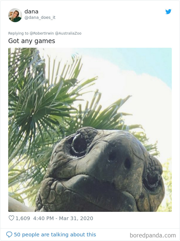 Robert Irwin Shares Photo Of His Self-Isolation Buddy, A Tortoise Named Igloo