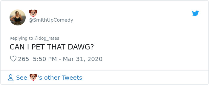 Adorable Dog Insists On Petting Other Dogs At Daycare, And The Confused Pups Just Accept It Adorable Dog Insists On Petting Other Dogs At Daycare, And The Confused Pups Just Accept It