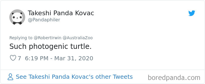 Robert Irwin Shares Photo Of His Self-Isolation Buddy, A Tortoise Named Igloo