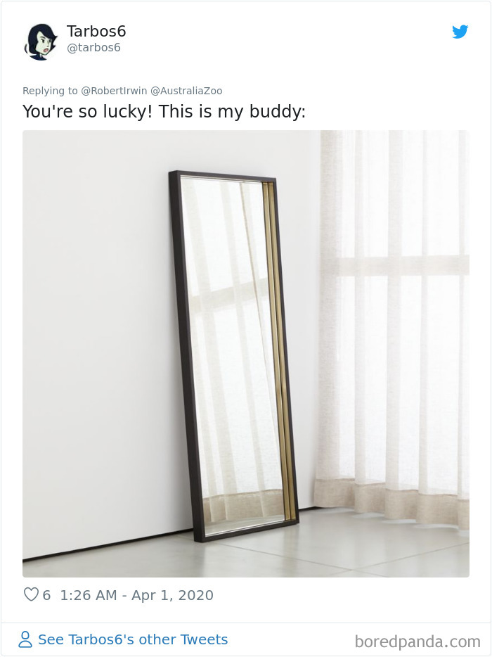 Robert Irwin Shares Photo Of His Self-Isolation Buddy, A Tortoise Named Igloo