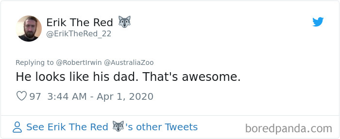 Robert Irwin Shares Photo Of His Self-Isolation Buddy, A Tortoise Named Igloo