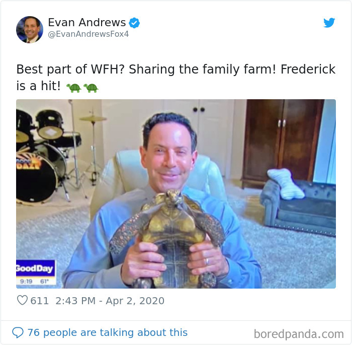 Weatherman Brightens Up People’s Days By Letting His Pets Hang Out In The Background During Broadcasts Weatherman Brightens Up People’s Days By Letting His Pets Hang Out In The Background During Broadcasts