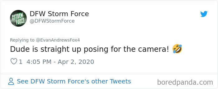 Weatherman Brightens Up People’s Days By Letting His Pets Hang Out In The Background During Broadcasts Weatherman Brightens Up People’s Days By Letting His Pets Hang Out In The Background During Broadcasts