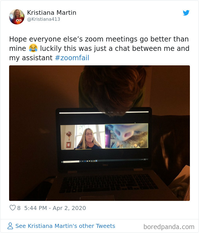 Funny-Zoom-Meetings