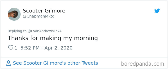 Weatherman Brightens Up People&rsquo;s Days By Letting His Pets Hang Out In The Background During Broadcasts