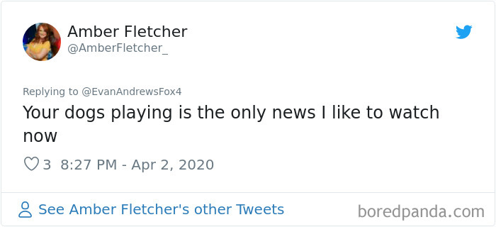 Weatherman Brightens Up People’s Days By Letting His Pets Hang Out In The Background During Broadcasts Weatherman Brightens Up People’s Days By Letting His Pets Hang Out In The Background During Broadcasts