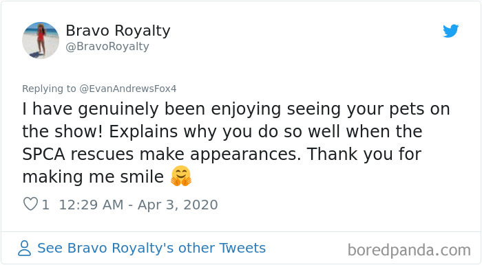 Weatherman Brightens Up People&rsquo;s Days By Letting His Pets Hang Out In The Background During Broadcasts