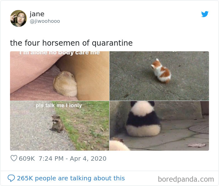 Funny-Women-Tweets-Jokes