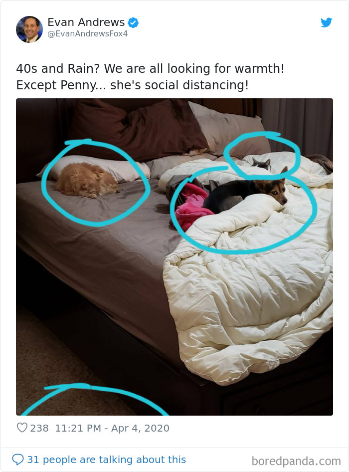 Weatherman Brightens Up People’s Days By Letting His Pets Hang Out In The Background During Broadcasts Weatherman Brightens Up People’s Days By Letting His Pets Hang Out In The Background During Broadcasts