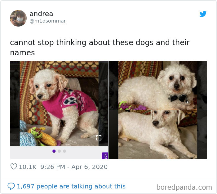 Funny-Women-Tweets-Jokes