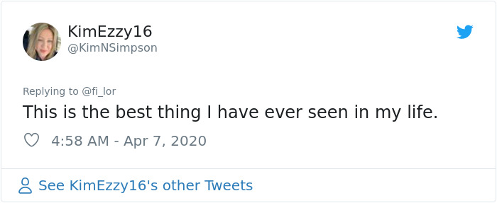 Quarantined Couple Creates A Miniature Art Gallery For Their Gerbils With Iconic Paintings