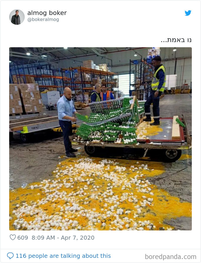 Israel Brings In Millions Of Eggs To Relieve Passover Shortages And Then This Happens
