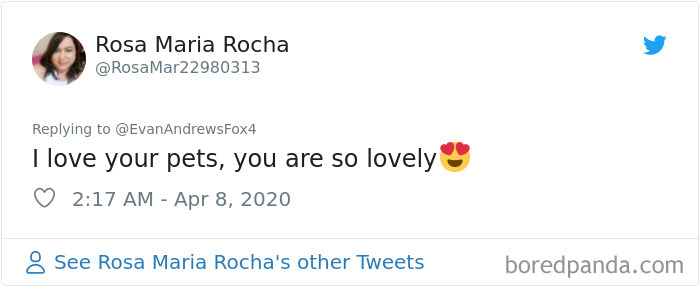 Weatherman Brightens Up People&rsquo;s Days By Letting His Pets Hang Out In The Background During Broadcasts