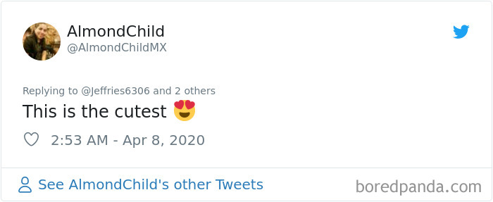 Weatherman Brightens Up People&rsquo;s Days By Letting His Pets Hang Out In The Background During Broadcasts