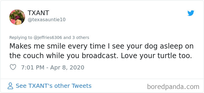 Weatherman Brightens Up People’s Days By Letting His Pets Hang Out In The Background During Broadcasts Weatherman Brightens Up People’s Days By Letting His Pets Hang Out In The Background During Broadcasts