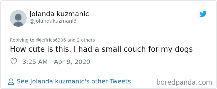 Weatherman Brightens Up People’s Days By Letting His Pets Hang Out In The Background During Broadcasts Weatherman Brightens Up People’s Days By Letting His Pets Hang Out In The Background During Broadcasts