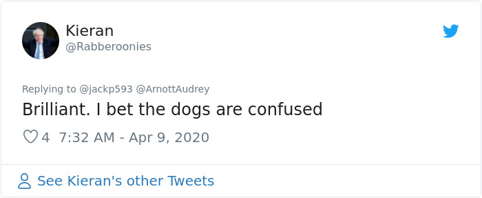 "My Mate Has Been Dressing Up Everyday To Cheer The Neighborhood Up While He Takes The Dogs Out" "My Mate Has Been Dressing Up Everyday To Cheer The Neighborhood Up While He Takes The Dogs Out"