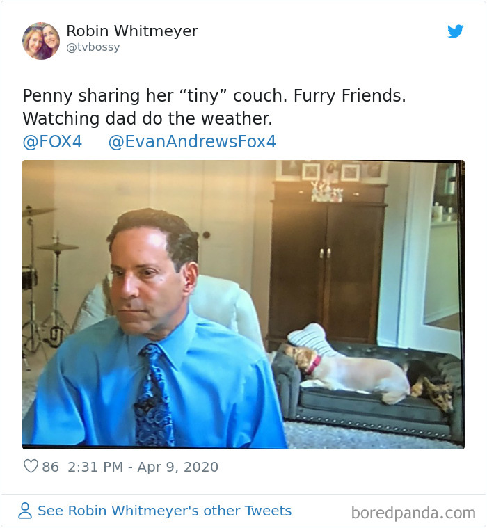 Weatherman Brightens Up People’s Days By Letting His Pets Hang Out In The Background During Broadcasts Weatherman Brightens Up People’s Days By Letting His Pets Hang Out In The Background During Broadcasts