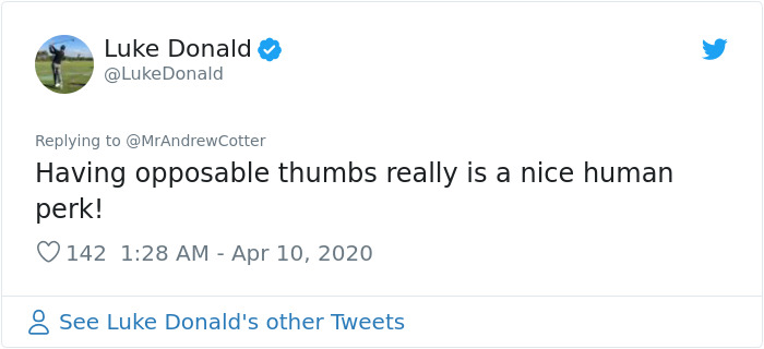 People Are Laughing At This Sports Broadcaster Commenting On His Dogs Fighting Over A Chew Toy