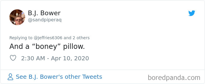 Weatherman Brightens Up People’s Days By Letting His Pets Hang Out In The Background During Broadcasts Weatherman Brightens Up People’s Days By Letting His Pets Hang Out In The Background During Broadcasts