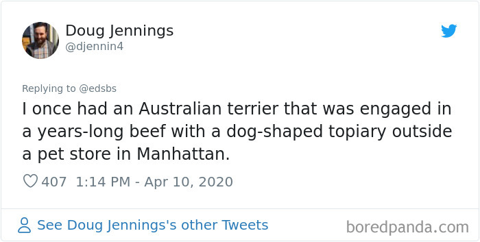 Dumbest-Dogs-Funny-Fails