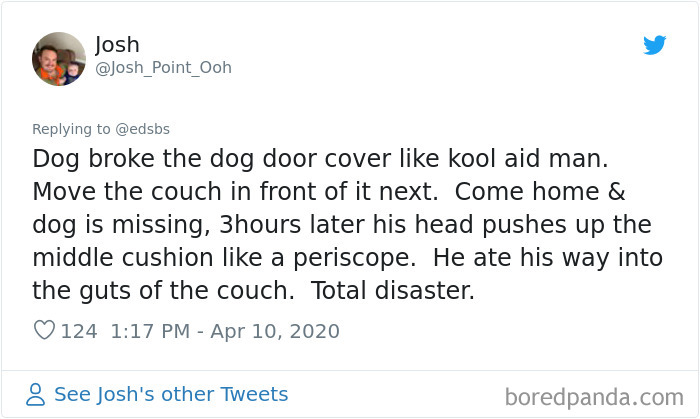 Dumbest-Dogs-Funny-Fails