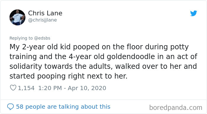 Dumbest-Dogs-Funny-Fails