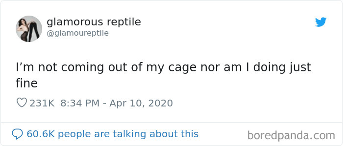 Funny-Women-Tweets-Jokes