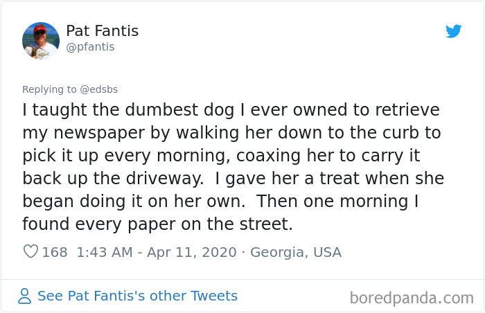 Dumbest-Dogs-Funny-Fails