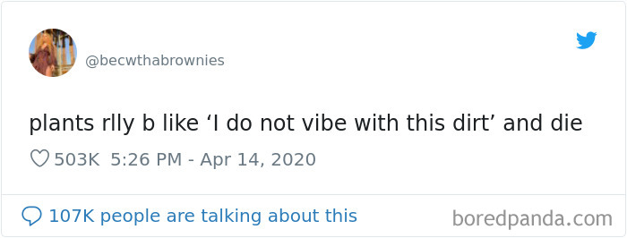 Funny-Women-Tweets-Jokes