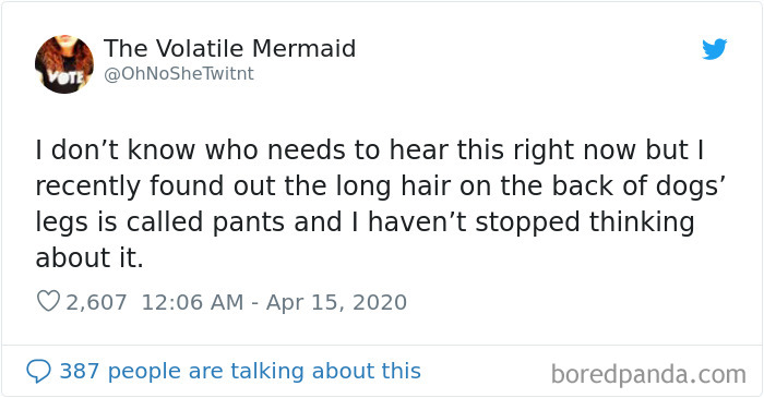 Funny-Women-Tweets-Jokes