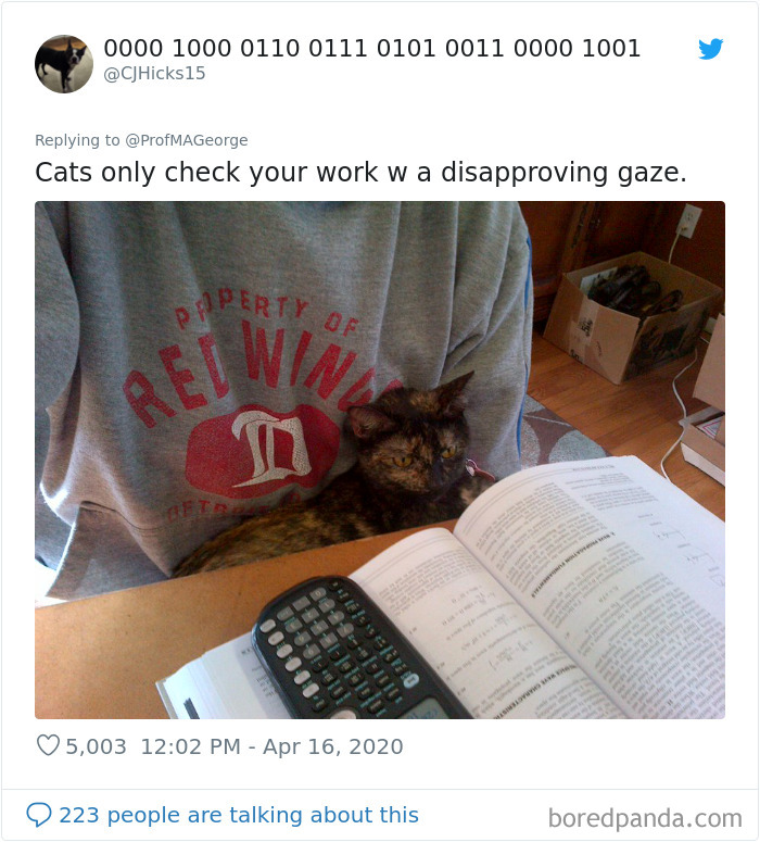 Students-Share-Photos-Pets-Doing-Class-Work
