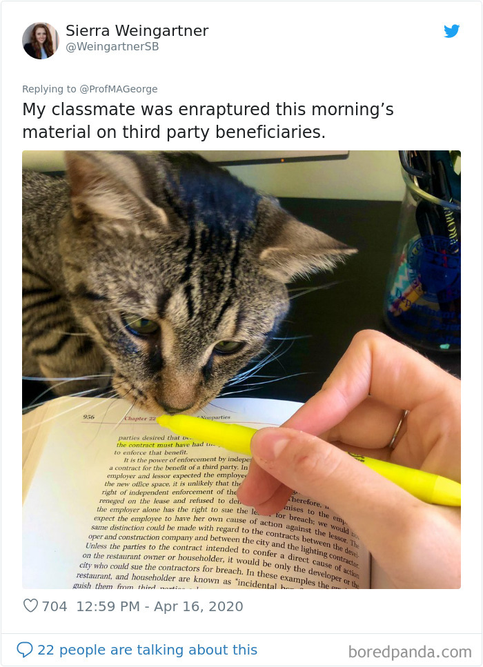 Students-Share-Photos-Pets-Doing-Class-Work