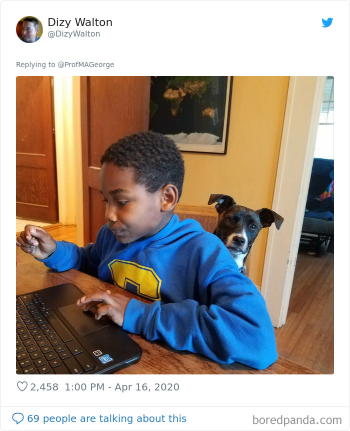 Students-Share-Photos-Pets-Doing-Class-Work