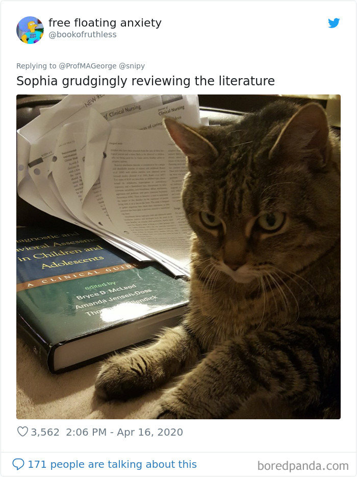 Students-Share-Photos-Pets-Doing-Class-Work