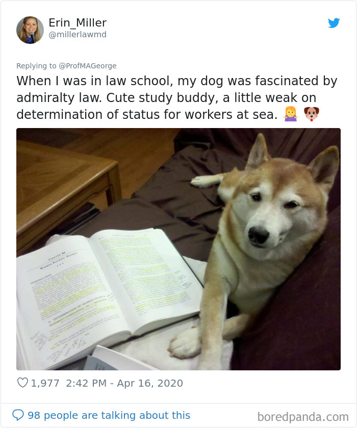 Students-Share-Photos-Pets-Doing-Class-Work