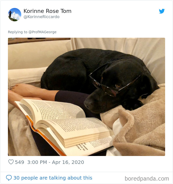 Students-Share-Photos-Pets-Doing-Class-Work