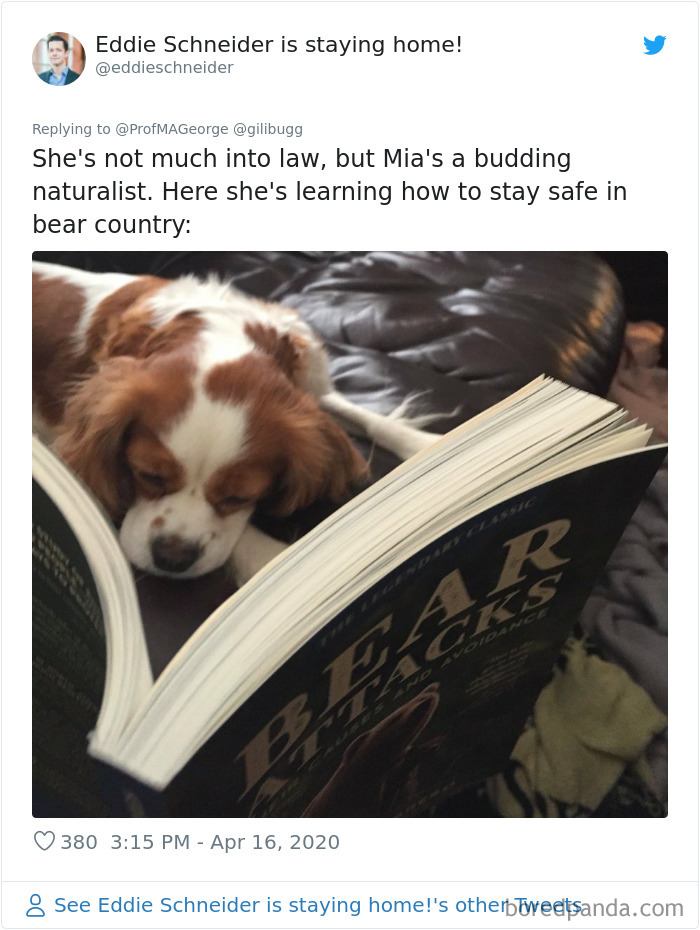 Students-Share-Photos-Pets-Doing-Class-Work