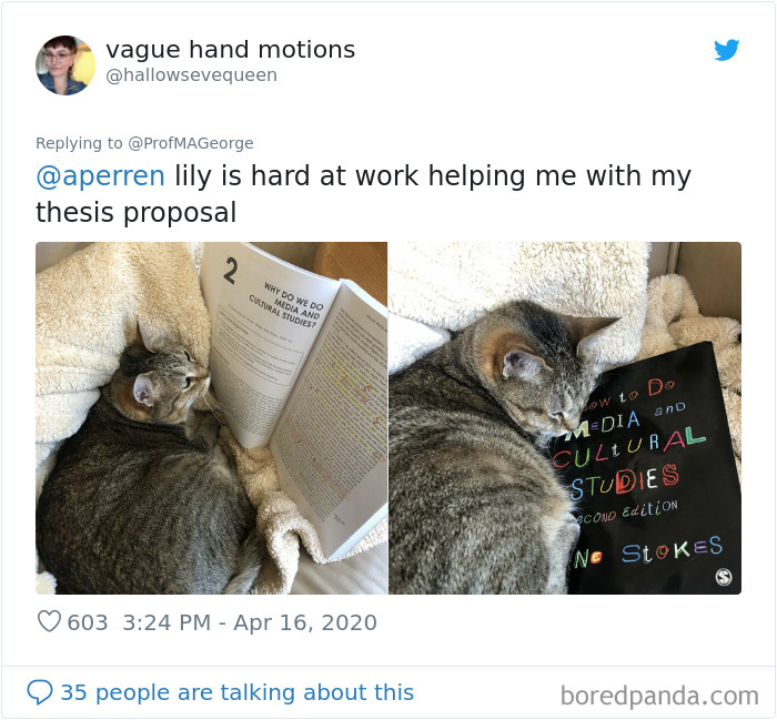 Students-Share-Photos-Pets-Doing-Class-Work