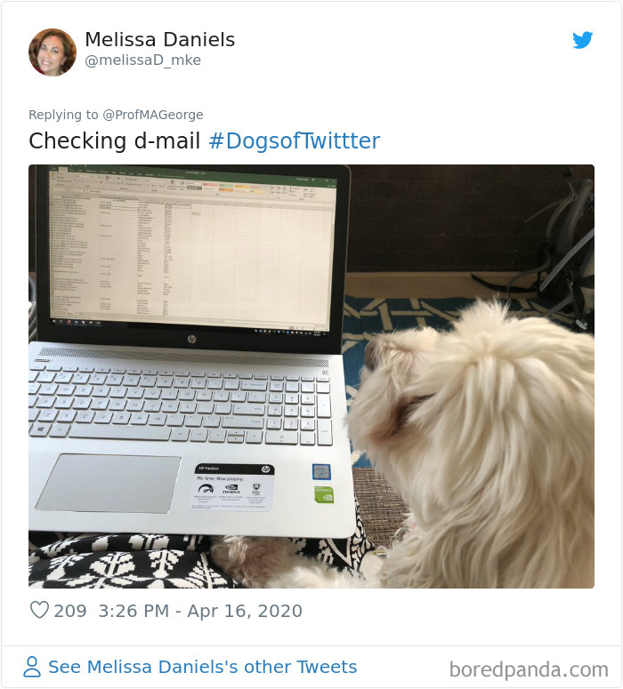 Students-Share-Photos-Pets-Doing-Class-Work