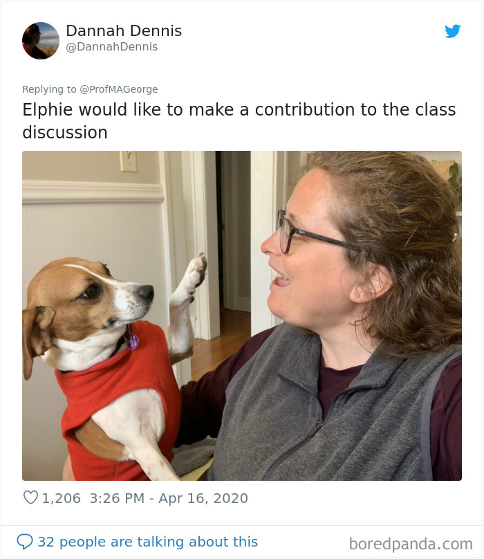 Students-Share-Photos-Pets-Doing-Class-Work