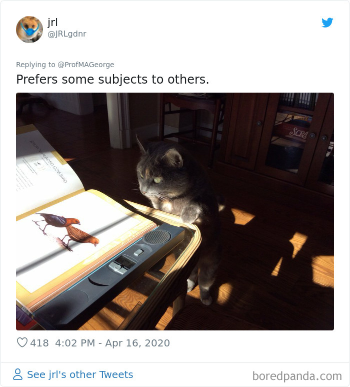 Students-Share-Photos-Pets-Doing-Class-Work